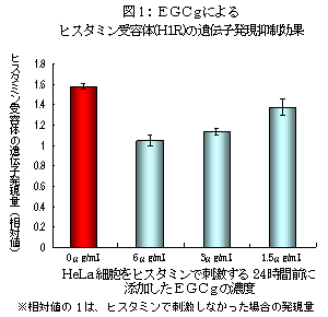 図1：ＥＧＣｇによるヒスタミン受容体(H1R)の遺伝子発現抑制効果