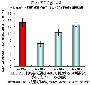 図2：ＥＧＣｇによるアレルギー情報伝達物質(IL-4)の遺伝子発現抑制効果