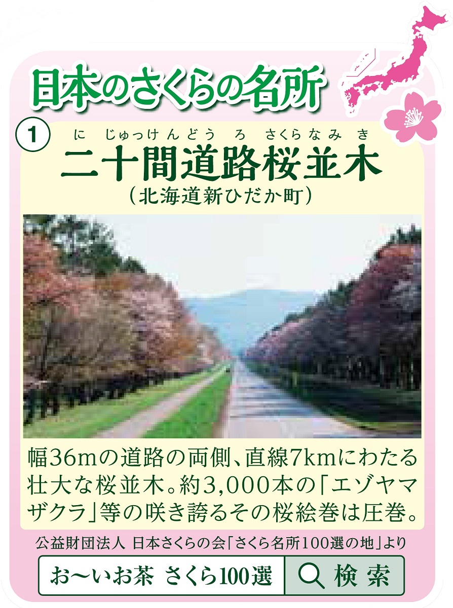 「お~いお茶」紅葉パッケージ