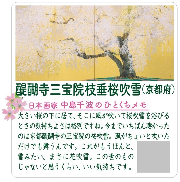 「お～いお茶」桜パッケージ