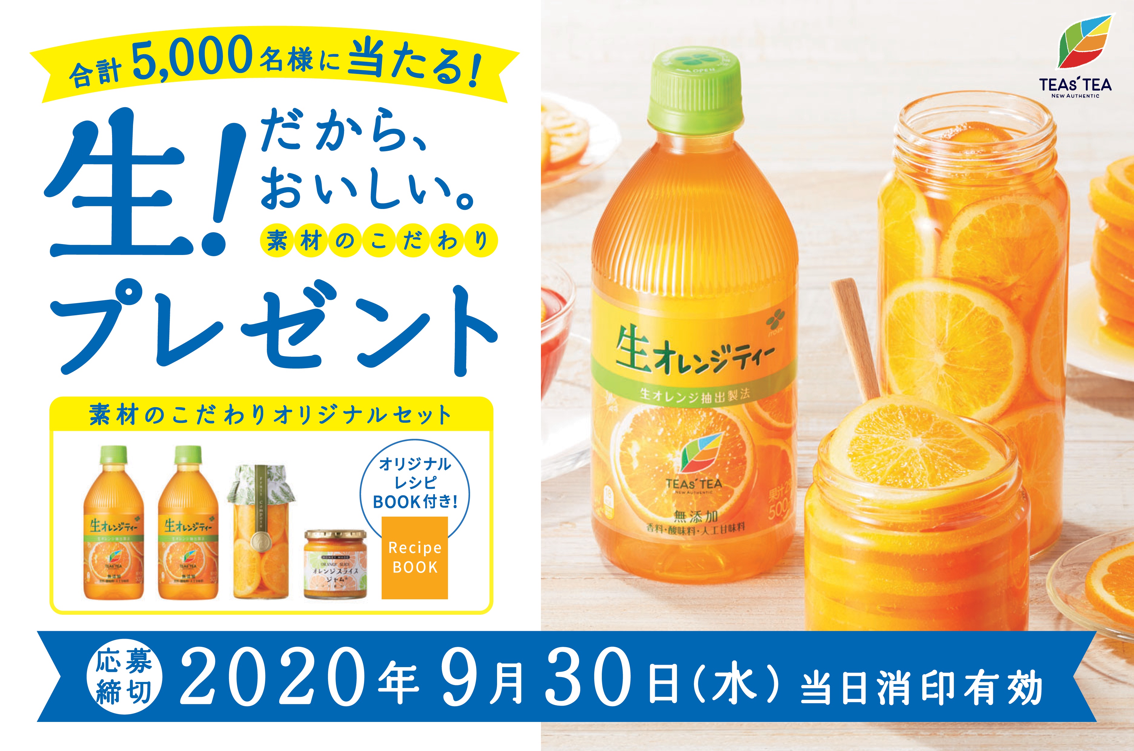 アイティー農園出品※ オレンジピタヤ10株セット アイティー農園様