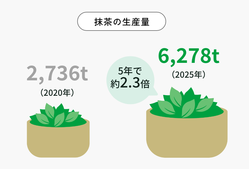 抹茶の生産量