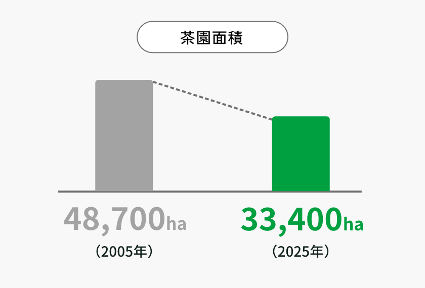 抹茶の生産量