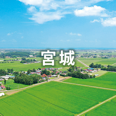 宮城