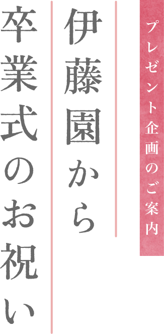 プレゼント企画のご案内 伊藤園から卒業式のお祝い