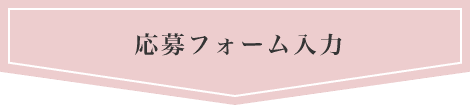 応募フォーム入力