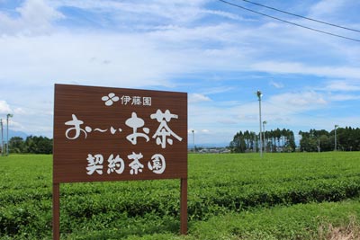 契約茶園の看板画像