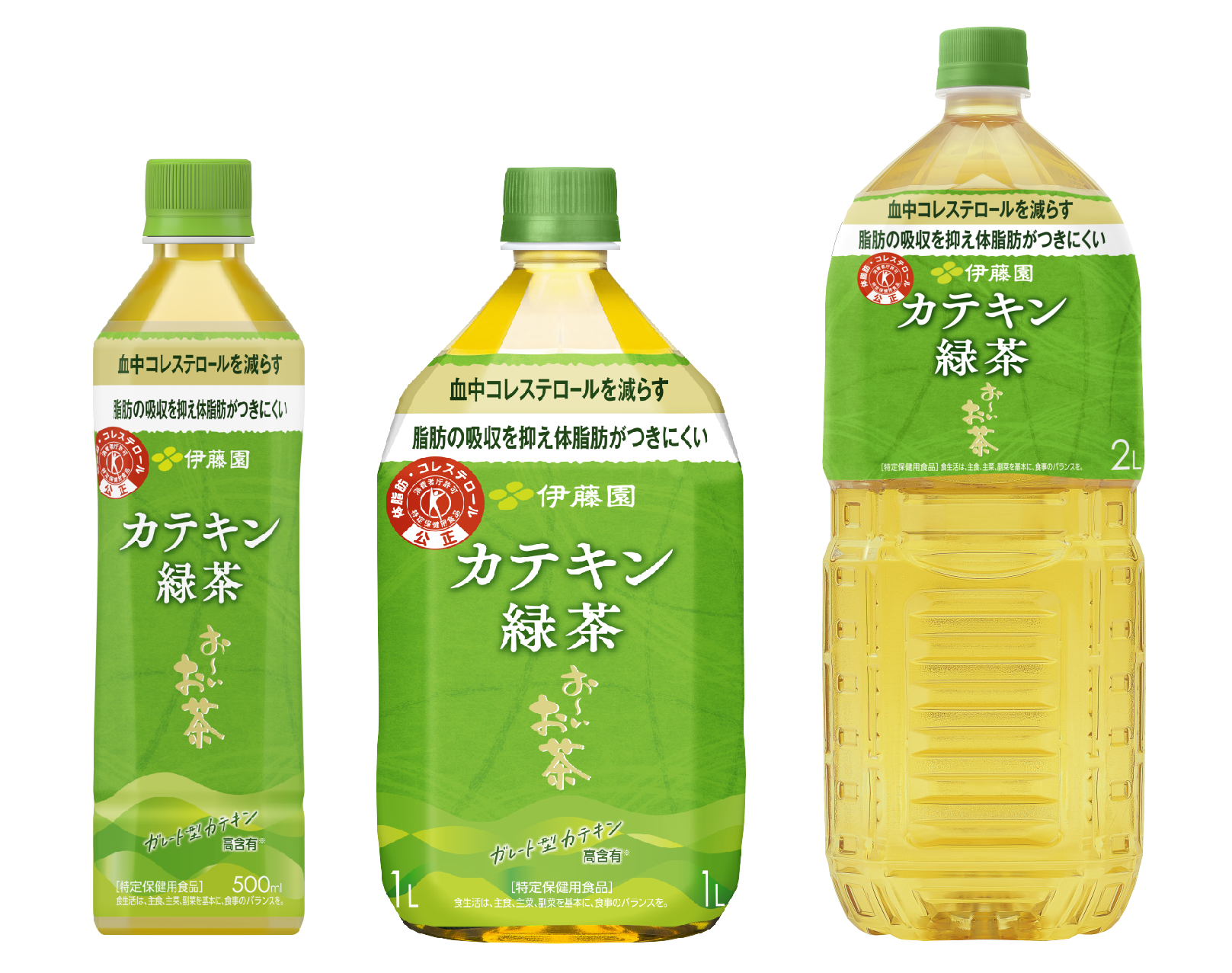  伊藤園 緑茶習慣 24本 特定保健用食品 トクホ
